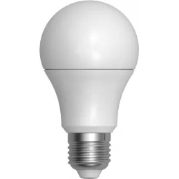 SKYLIGHTING LAMPADINA LED E27 10W BULB A60 