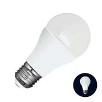 Bulb